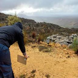 Camera trap setup and testing